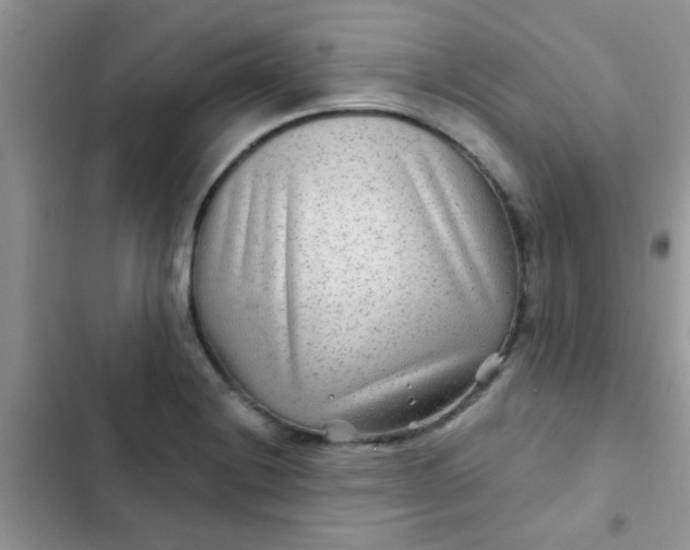 X0000102541228200808221921