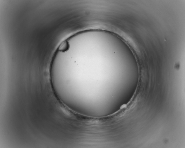 X0000102541230200808221921