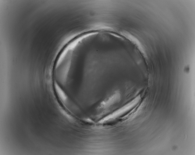 X0000102541231200808221921