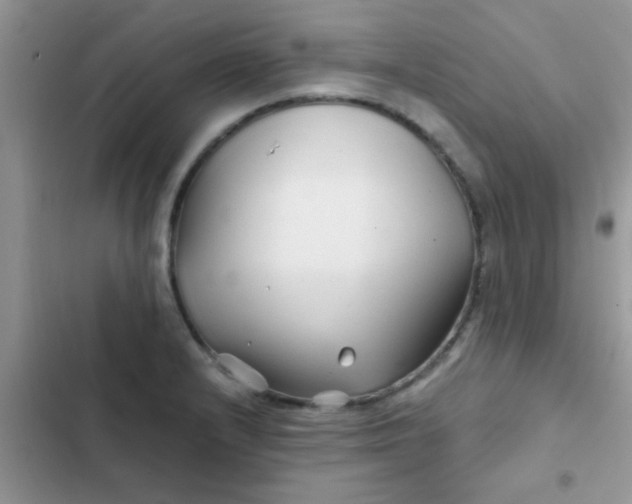 X0000102541232200808221921