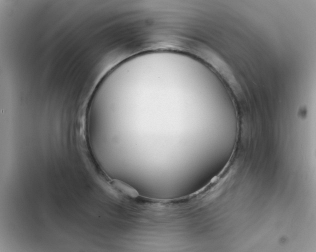 X0000102541234200808221921