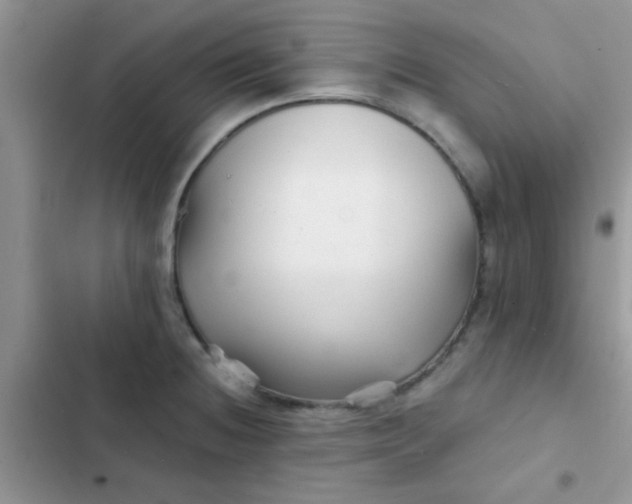 X0000102541236200808221921