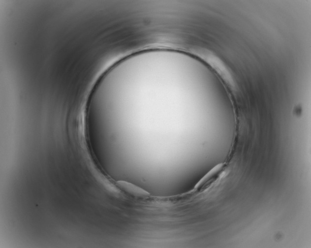 X0000102541238200808221921