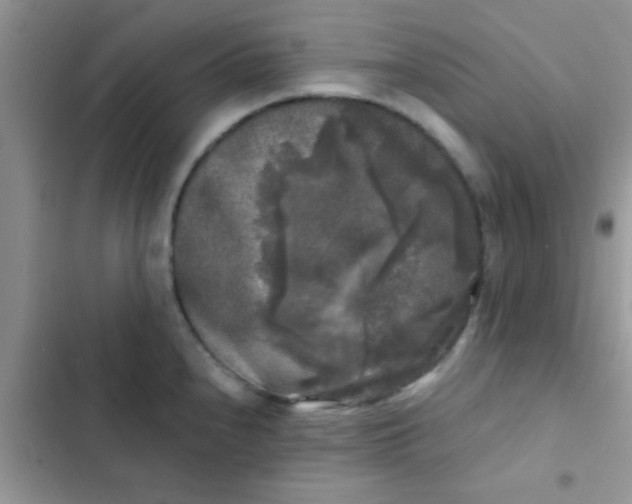 X0000102541240200808221921