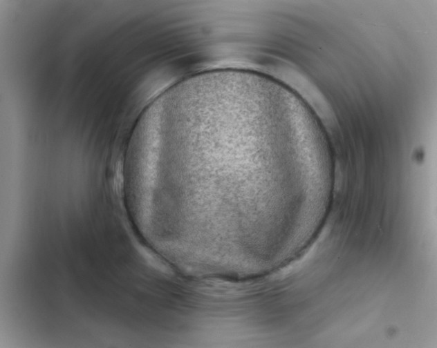 X0000102541241200808221921