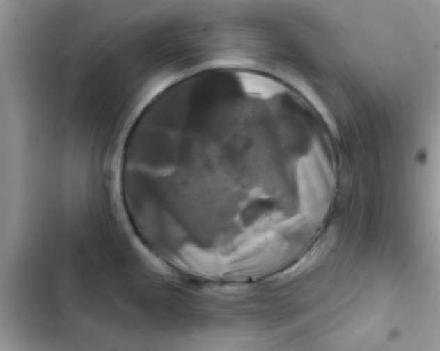 X0000102541245200808221921