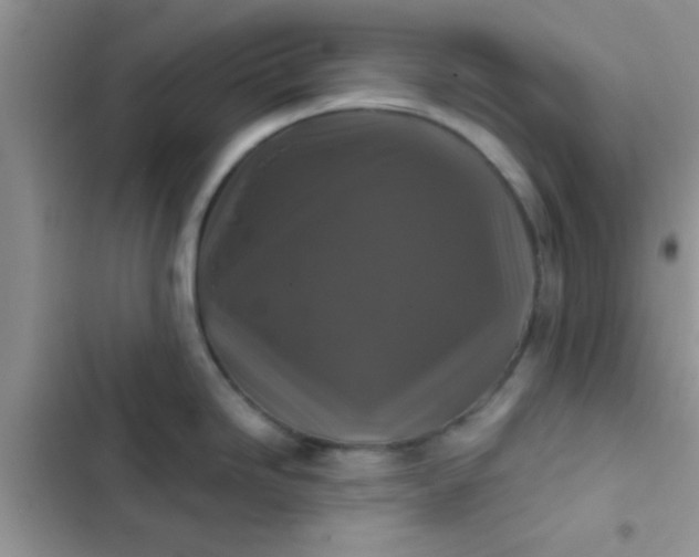 X0000102541246200808221921