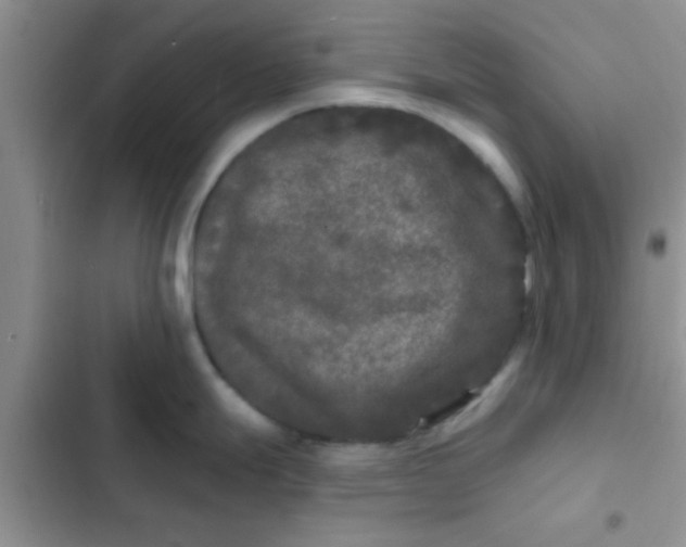 X0000102541247200808221921