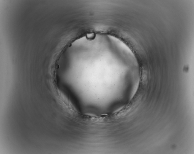 X0000102541249200808221921
