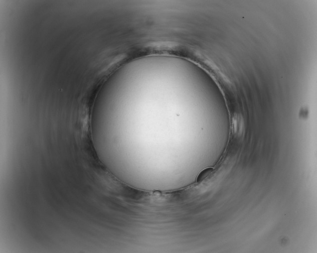 X0000102541251200808221921
