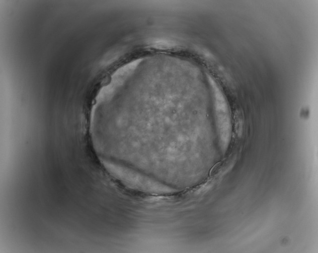 X0000102541253200808221921