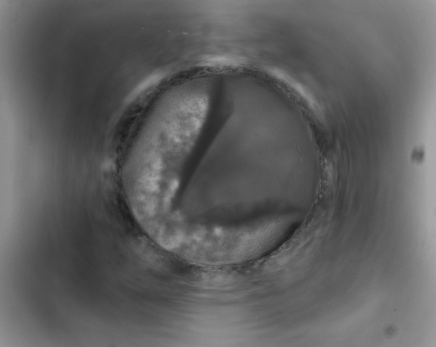 X0000102541254200808221921