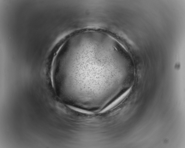 X0000102541256200808221921
