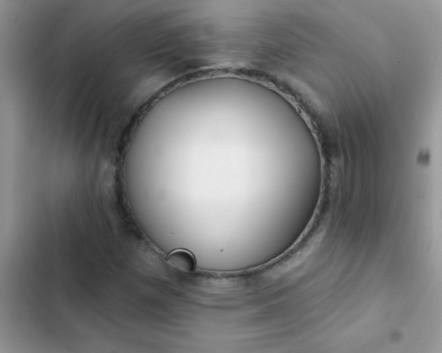 X0000102541257200808221921