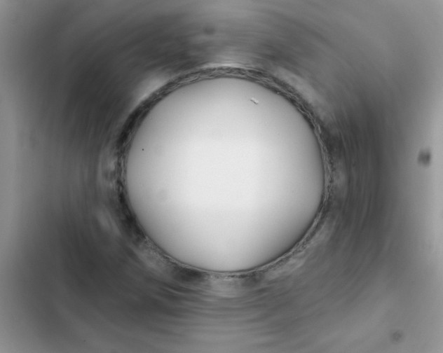 X0000102541258200808221921
