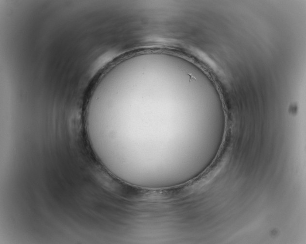 X0000102541259200808221921