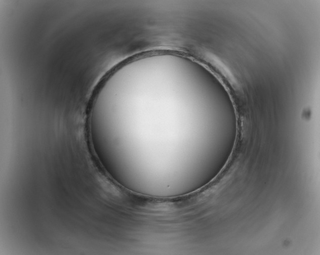 X0000102541260200808221921