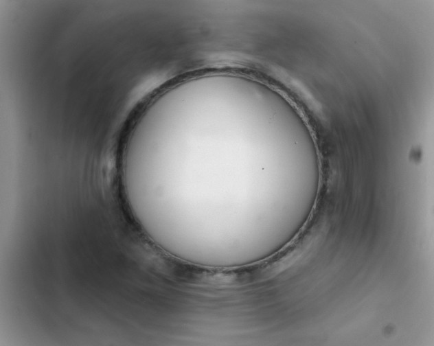 X0000102541261200808221921
