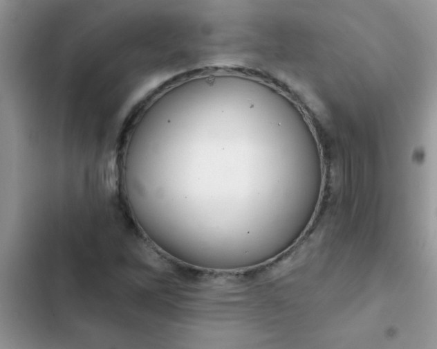X0000102541262200808221921