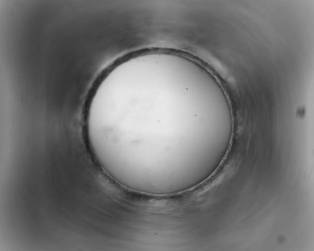 X0000102541264200808221920