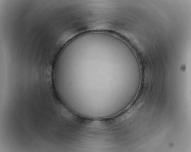 X0000102541265200808221920