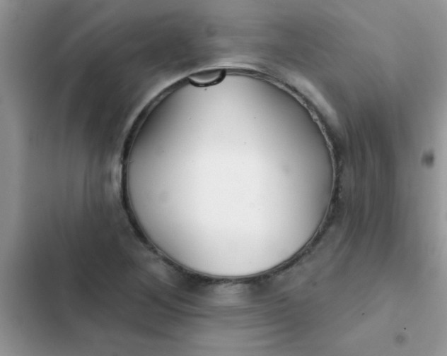 X0000102541268200808221920