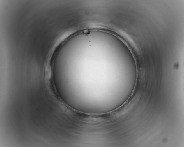X0000102541269200808221920