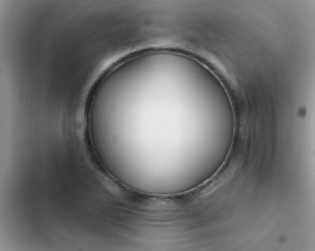X0000102541270200808221920