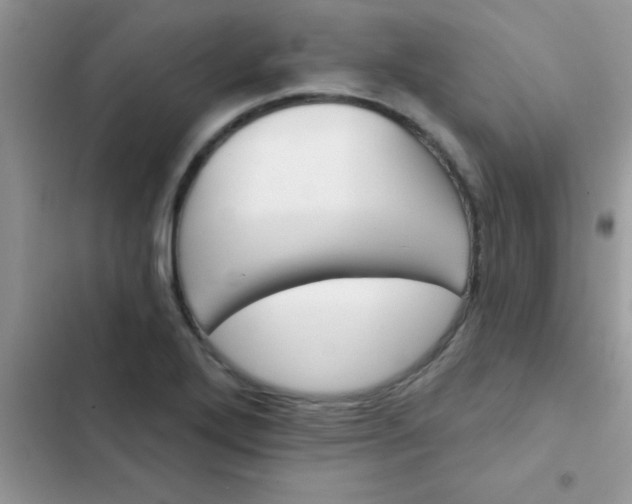 X0000102541272200808221920