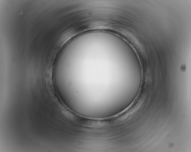 X0000102541273200808221920
