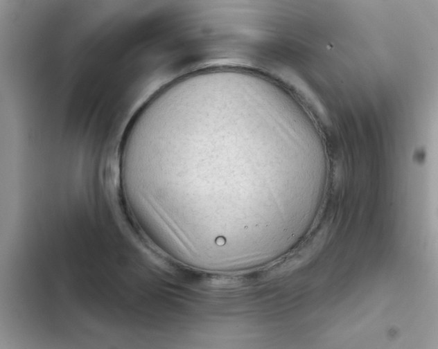X0000102541274200808221920