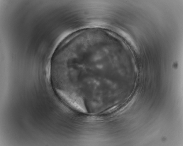 X0000102541275200808221920