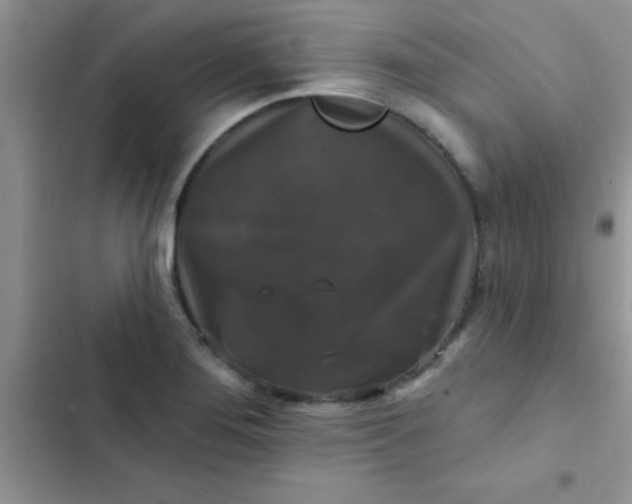 X0000102541276200808221920
