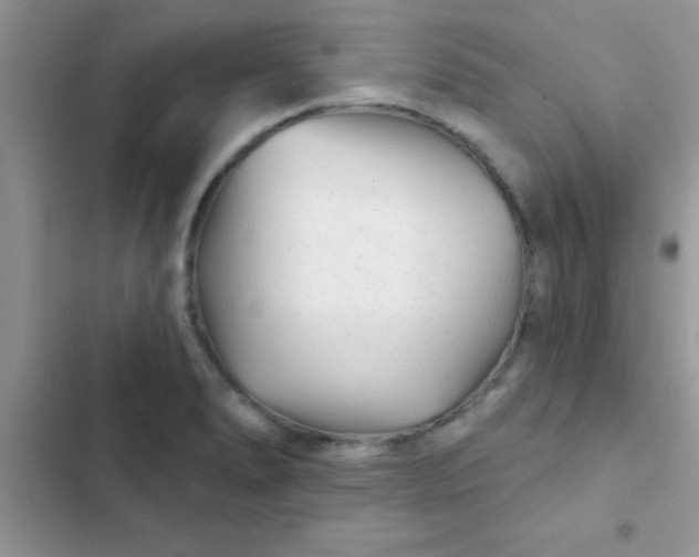X0000102541278200808221920