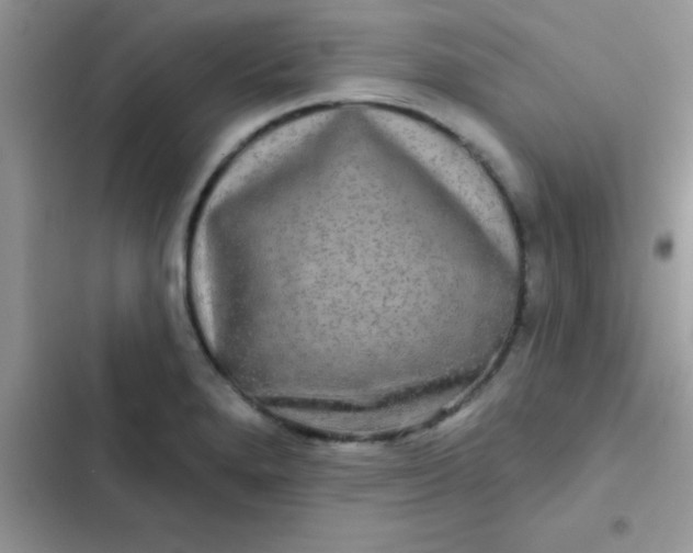 X0000102541280200808221920