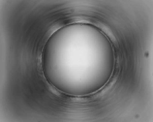 X0000102541281200808221920
