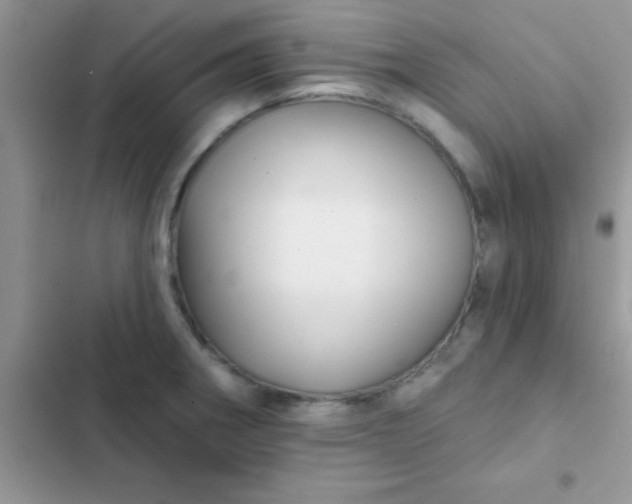X0000102541282200808221920