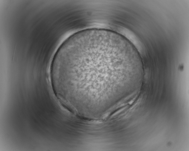 X0000102541283200808221920