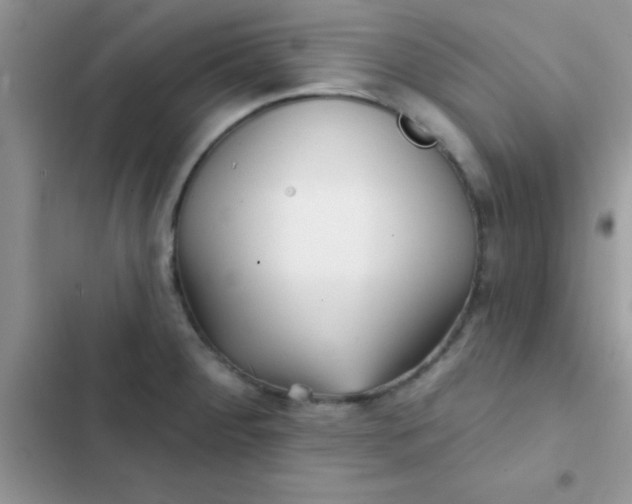 X0000102541284200808221920