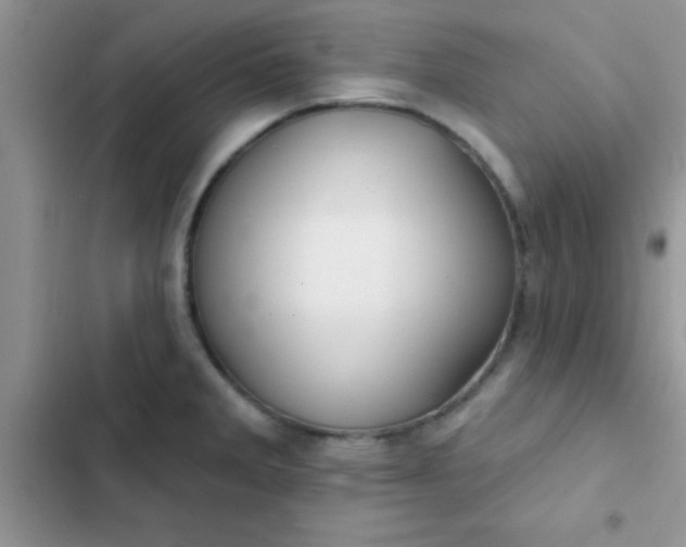 X0000102541285200808221920
