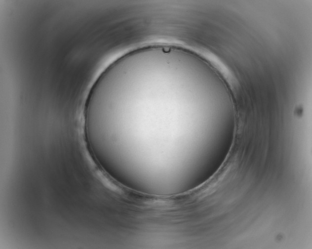 X0000102541287200808221920