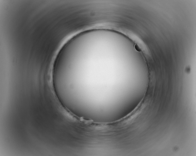 X0000102541288200808221920