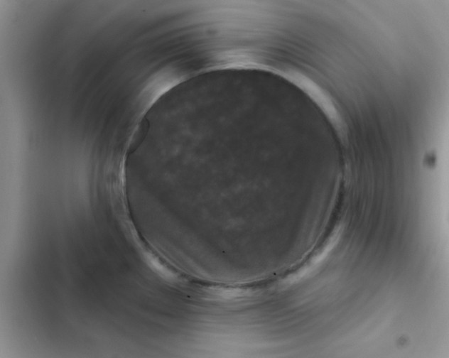 X0000102541289200808221920