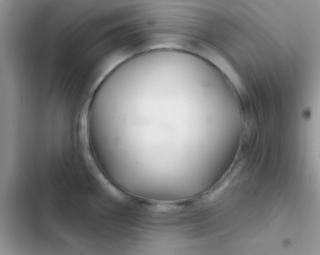 X0000102541290200808221920