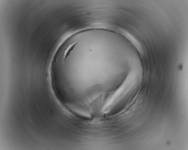 X0000102541291200808221920
