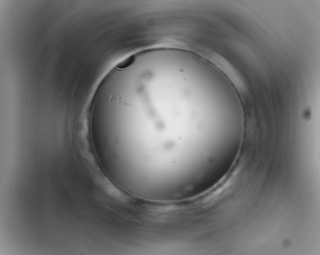 X0000102541292200808221920