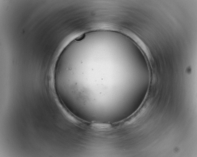X0000102541293200808221920