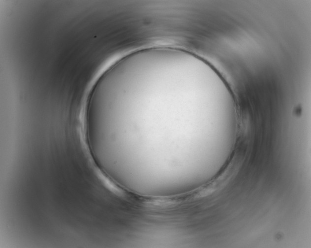 X0000102541294200808221920