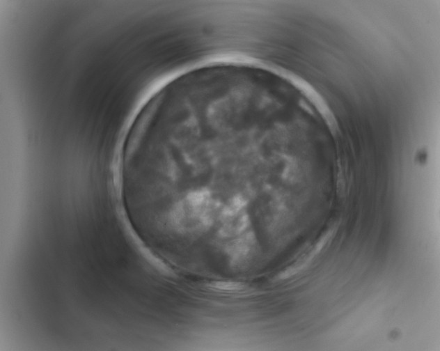 X0000102541295200808221920