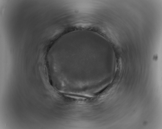 X0000102541297200808221919